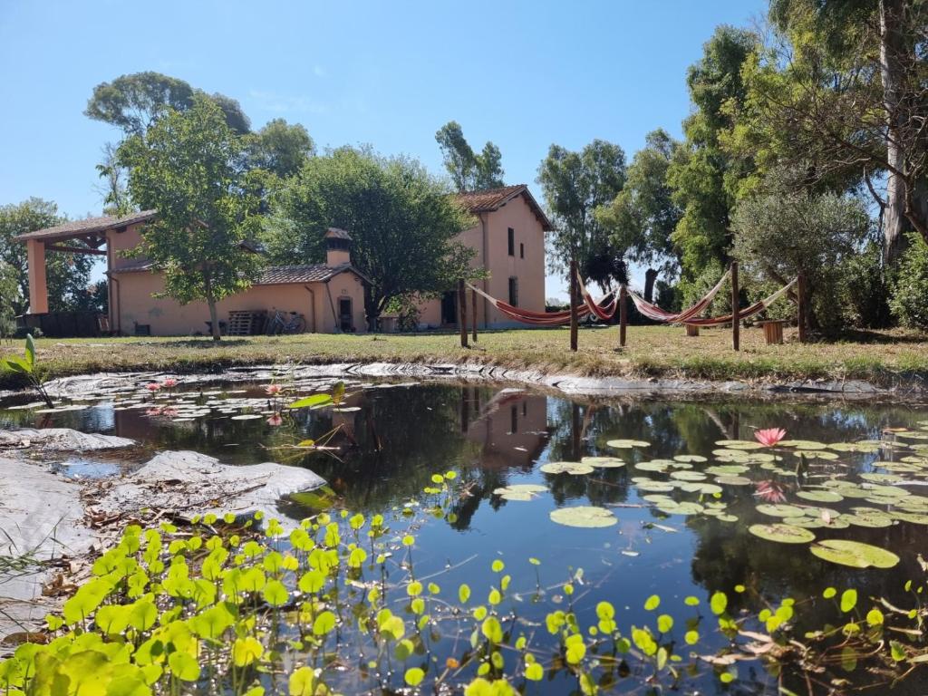 I laghetti delle ninfee — L'acqua come specchio e come pausa. · centro di educazione emozionale Sentipensare, Ostia Antica