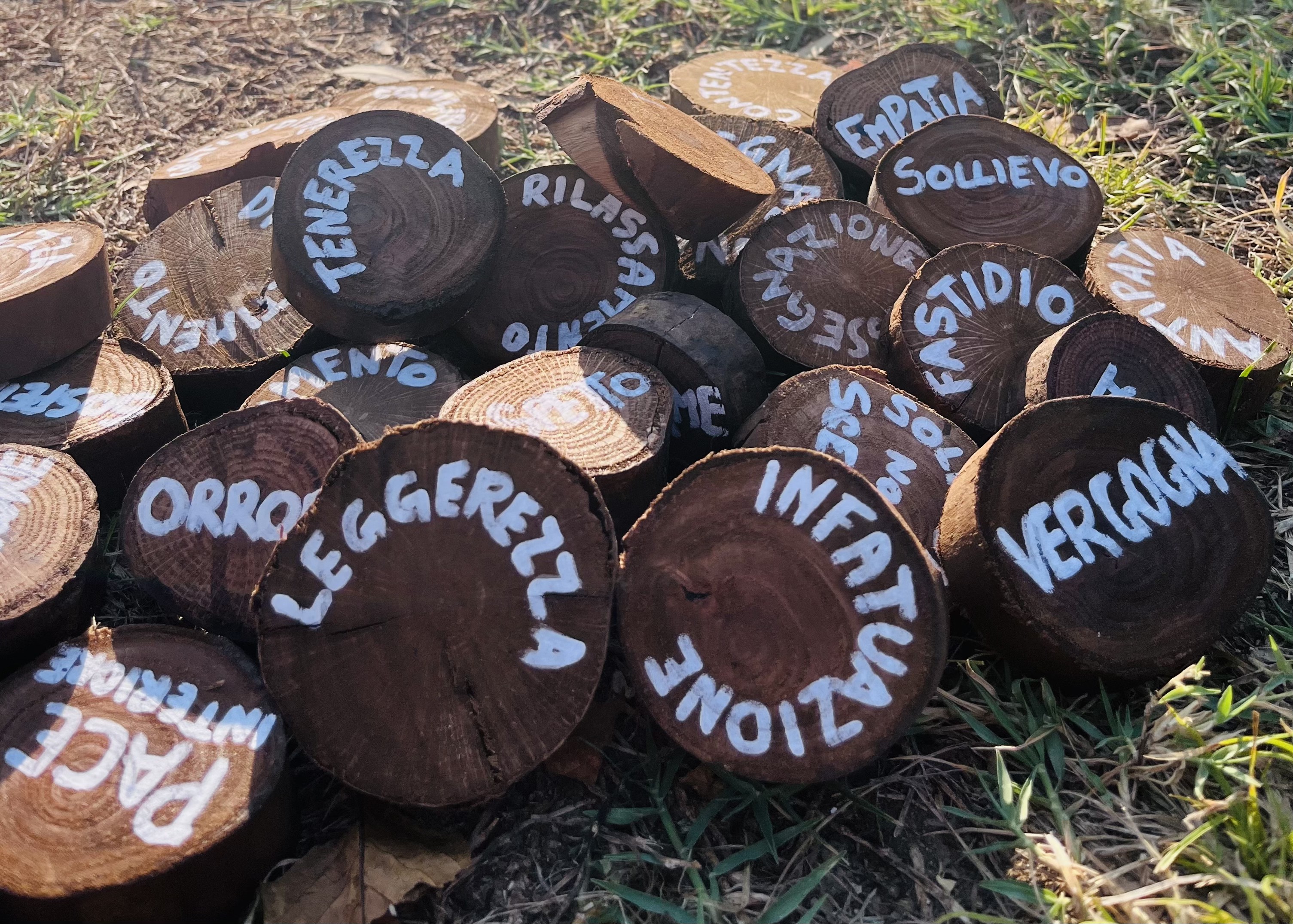 Tronchi di legno con le emozioni scritte — l'alfabeto delle emozioni a Sentipensare